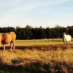 Besinndich Apartment