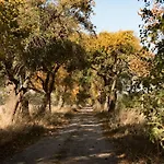 Besinndich * Nebelin