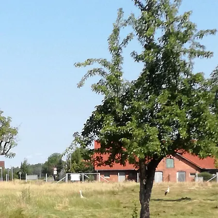 Besinndich * Nebelin