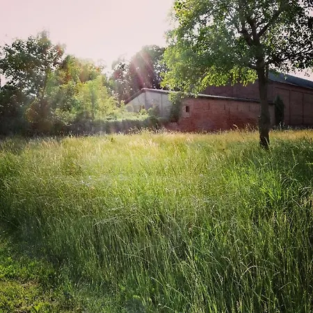 Besinndich * Nebelin