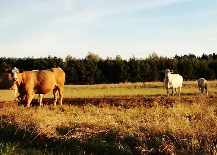 Besinndich Apartment
