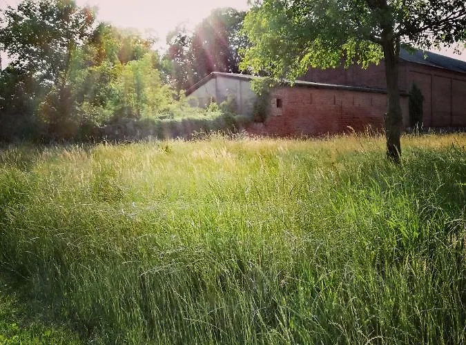 Besinndich * Nebelin